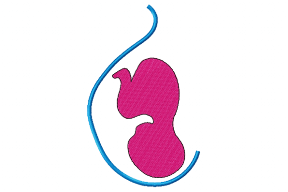 Pregnancy